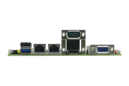 GENE-BT06W2-A13-0006