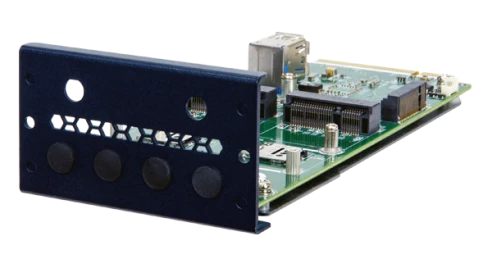 PulM-2P1M