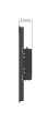 P17R